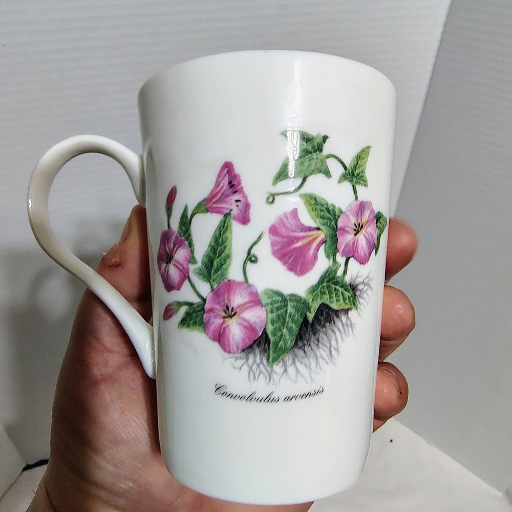 Royal Victorian Staffordshire England Botanical Flower Mugs Fine Bone China - Picture 12 of 13